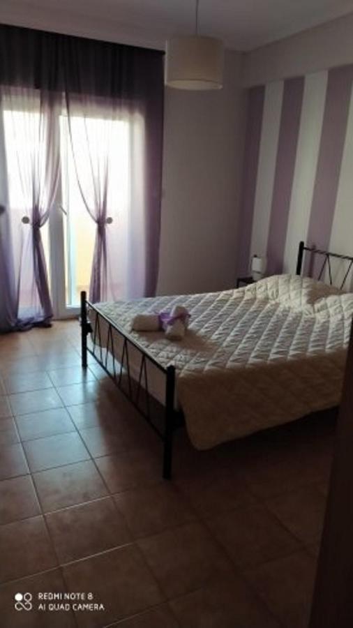 Appartement Seashell *