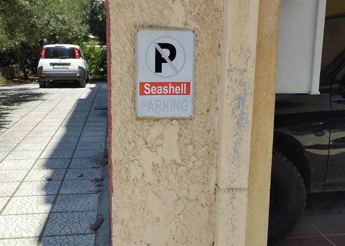 Seashell